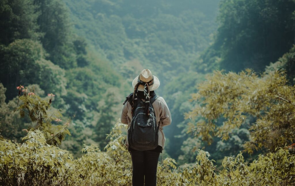 Traveler with hat and backpack observing lush green jungle valley.
