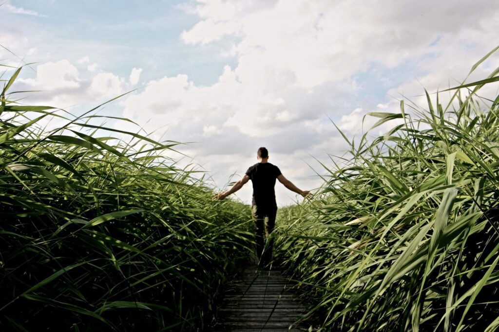 Person walking through tall green grass along a narrow wooden path.